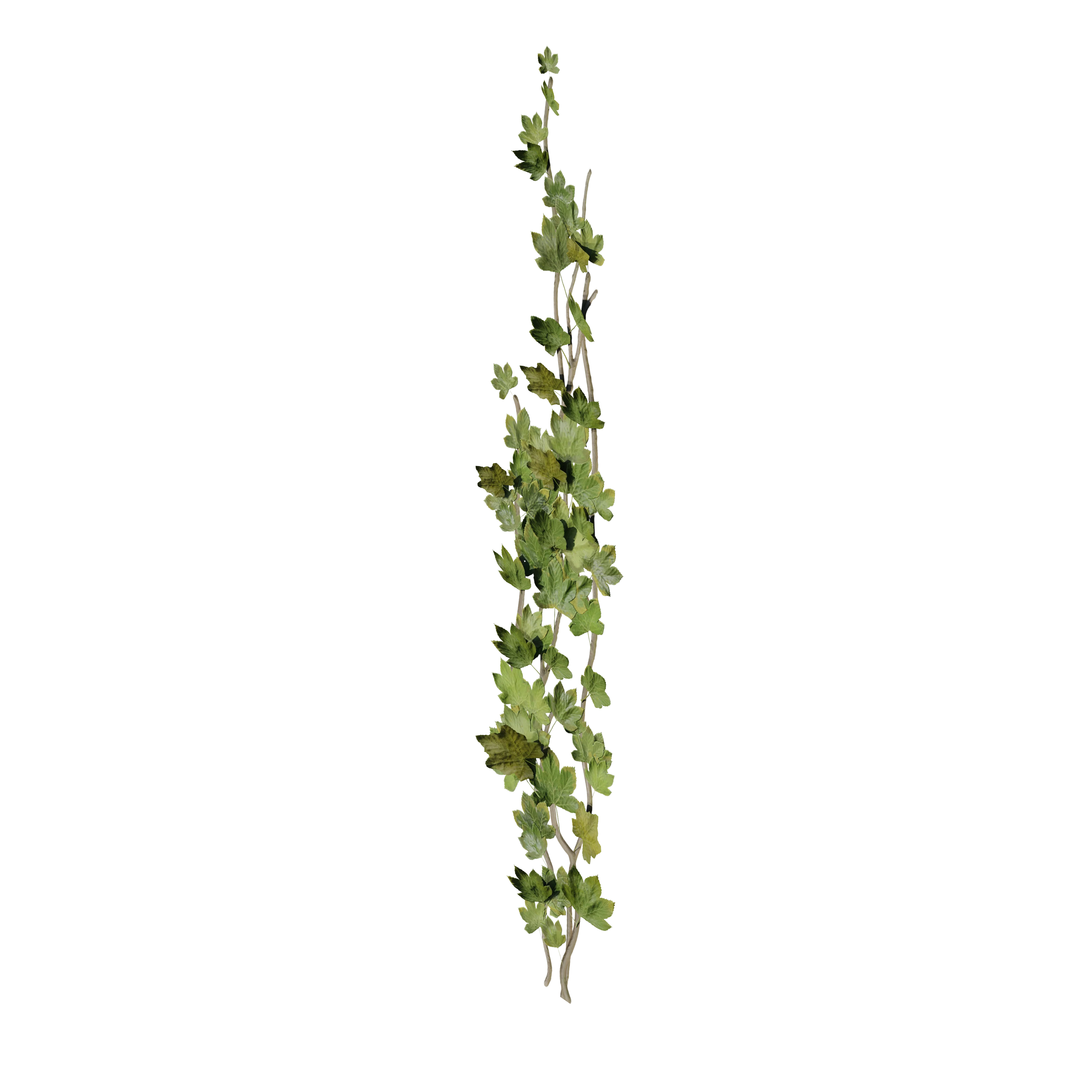 Product image 104