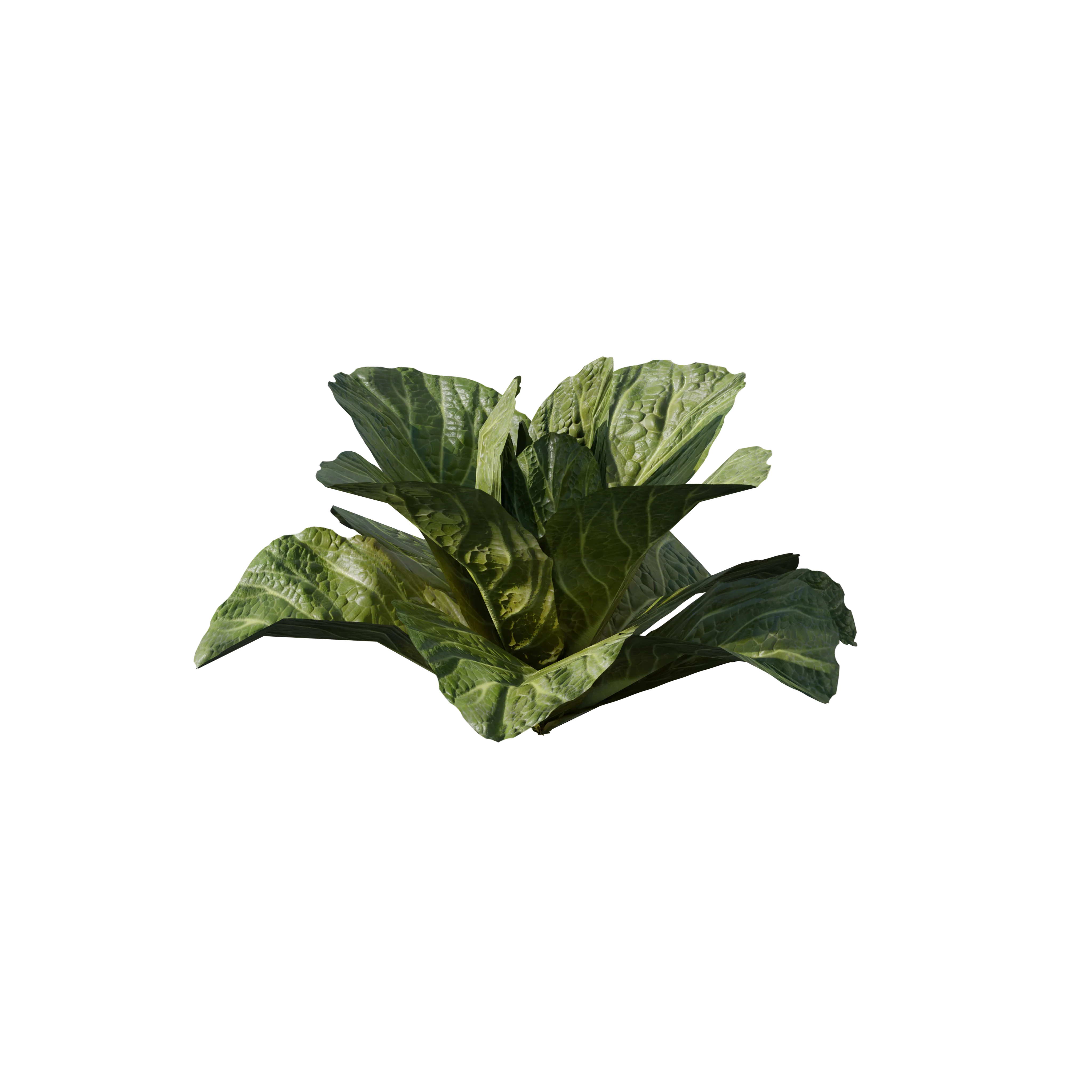 Product image 116