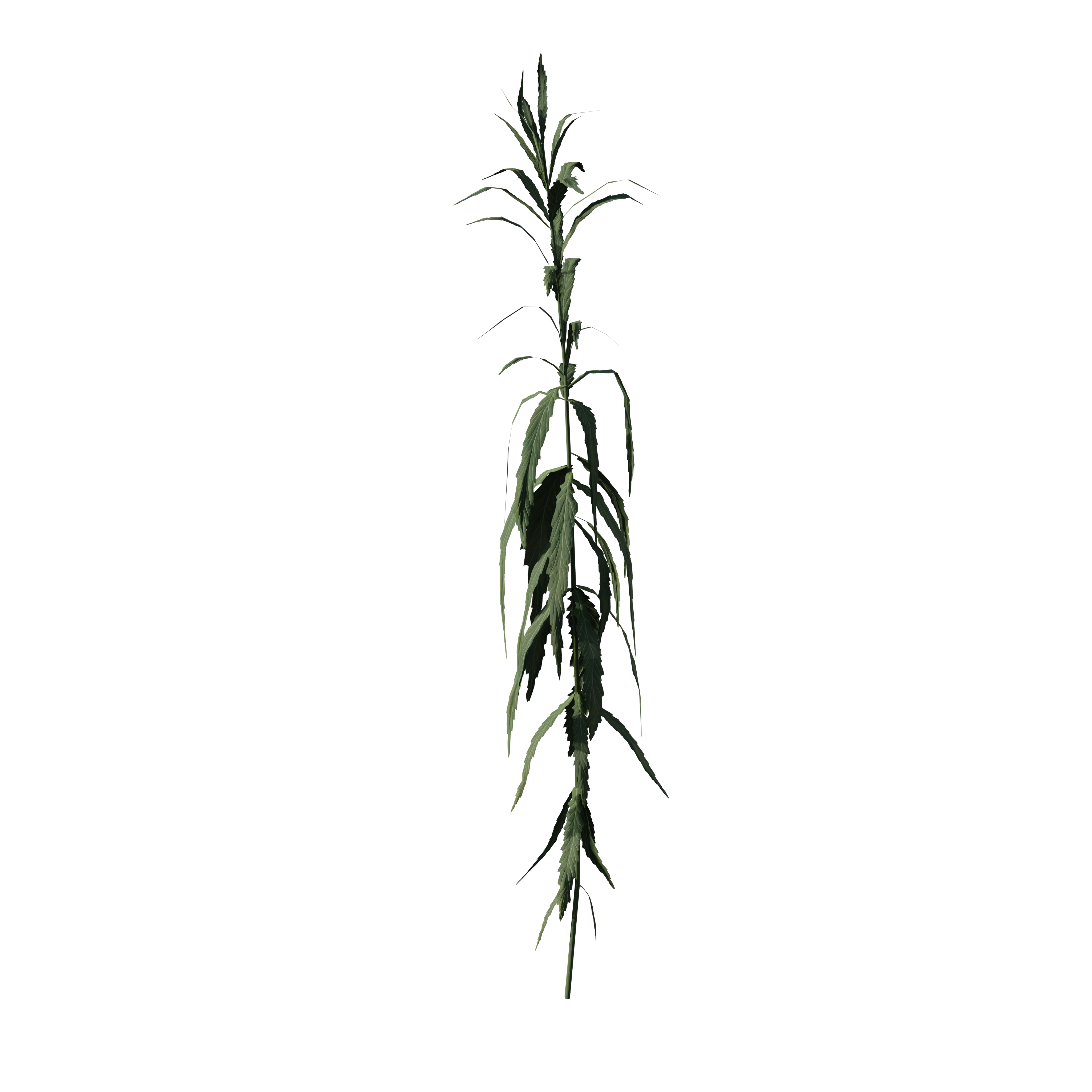 Product image 68