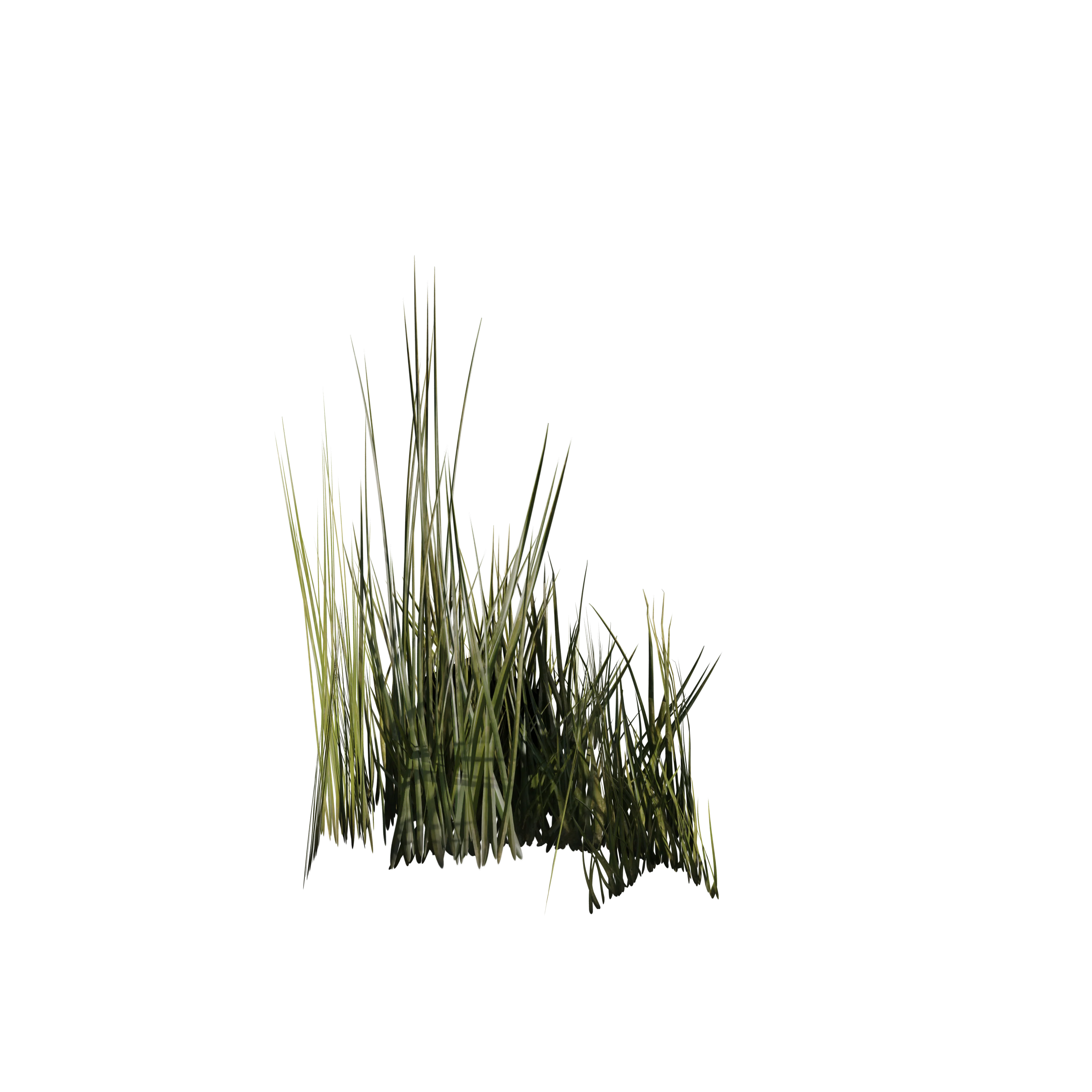 Product image 95